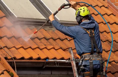 Démoussage et hydrofuge de toiture à Saint-Goin